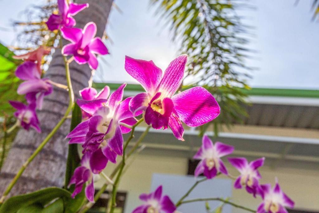Oyo 450 Rawai Studios Resort Bagian luar foto